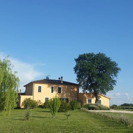 B&B Le Rose Spello Luaran gambar
