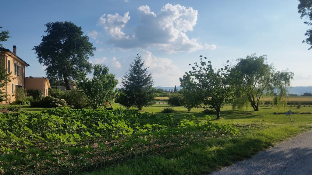 B&B Le Rose Spello Luaran gambar